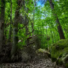 2015-05-25 19-35-52_smx-HDR.jpg